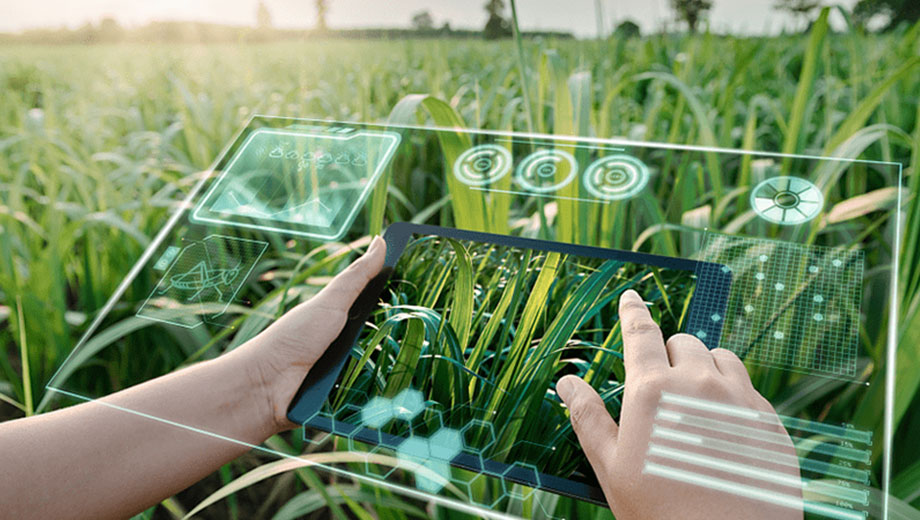Lenses in Agricultural & Industry